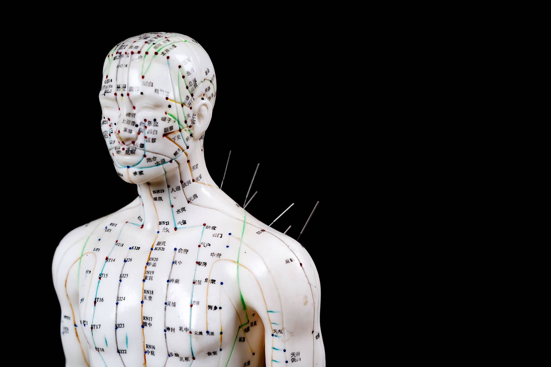 AAHW acupuncture school in Minnesota Master and Doctorate degrees in