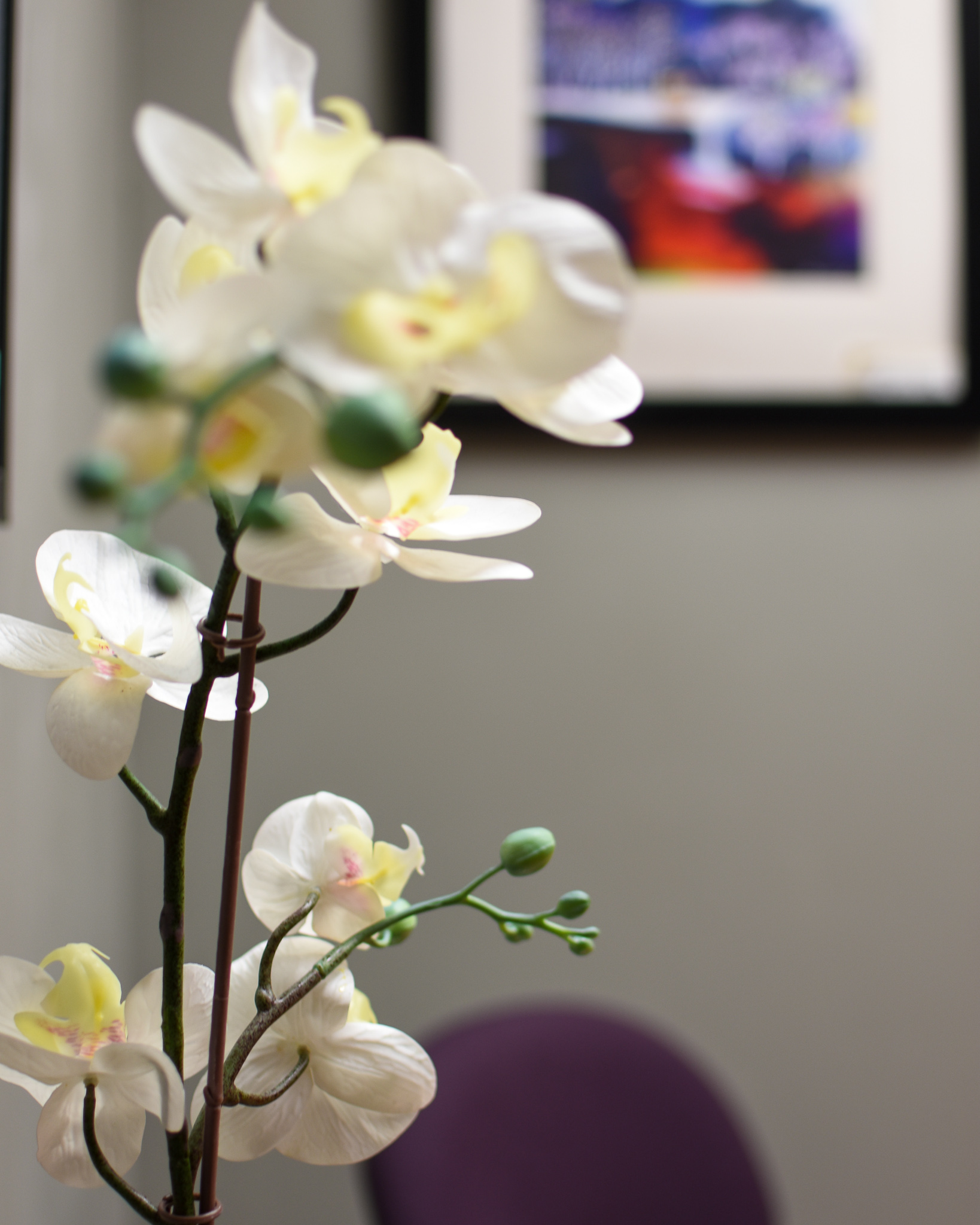 AAHW acupuncture school in Minnesota Master and Doctorate degrees in